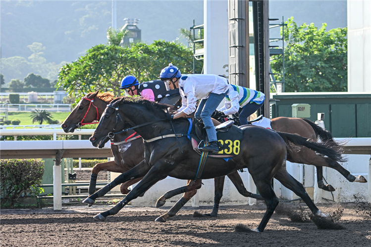 Golden Sixty (outside) hits the line at Sha Tin this morning.