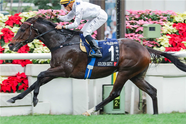 GOLDEN SIXTY winning the 2023 G1 LONGINES Hong Kong Mile (1600m) at Sha Tin Racecourse.