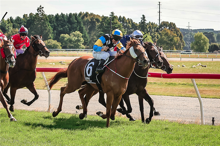 Goldie's Chance (NZ) winning the $70,000 Listed Liquorland Gore Guineas (1335m).