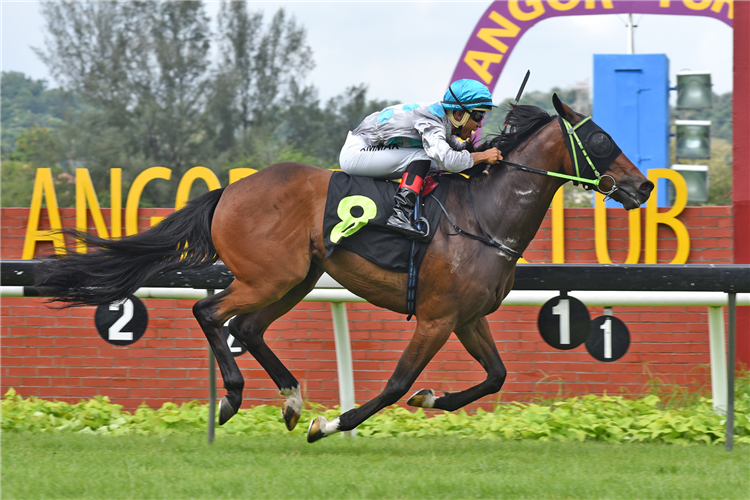 GOOD FIGHT winning the May 06 2023 Selangor Meeting Race 4 (489) : Class CCL34 - 1400M [lc-A4] Prize Money :RM 34500 15:15 WIN TIME : 1:22.93