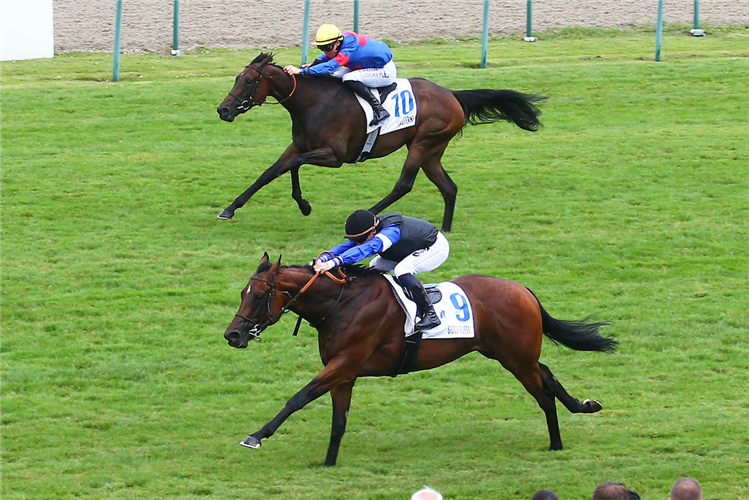Sauterne winning the Prix du Moulin de Longchamp.