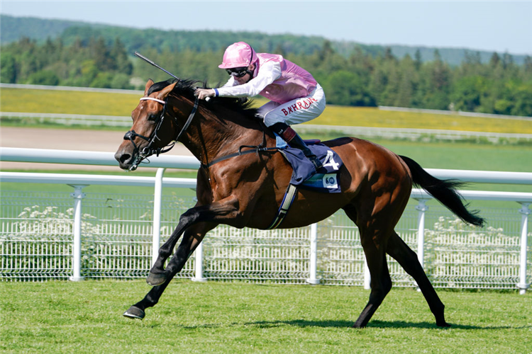 GREGORY winning the Colts & Geldings Stakes at Goodwood in Chichester, England.