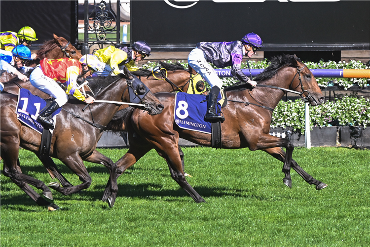 GRIFF winning the Exford Plate at Flemington in Australia.