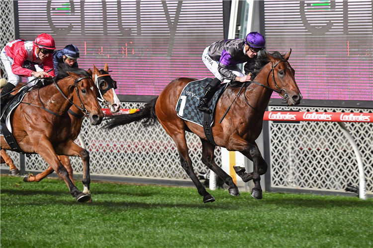 GRIFF winning the Entry Education Stutt Stakes at Moonee Valley in Australia.
