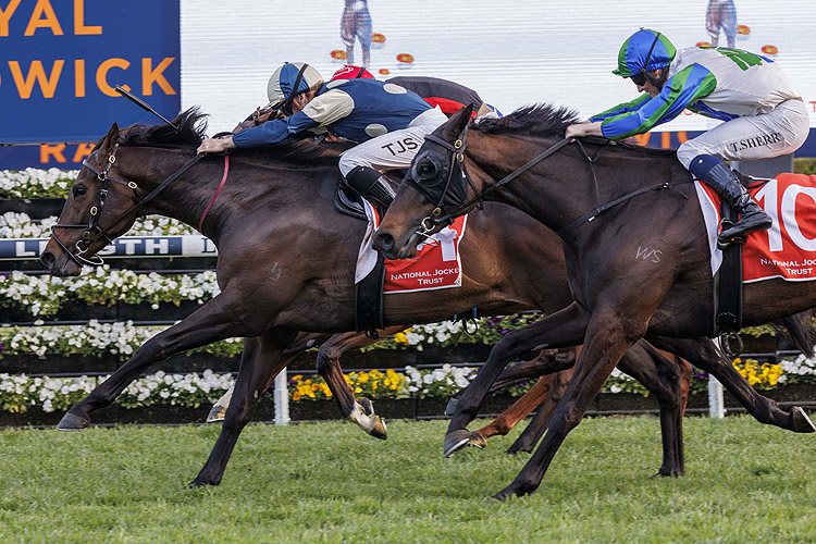 Gringotts too strong at Randwick