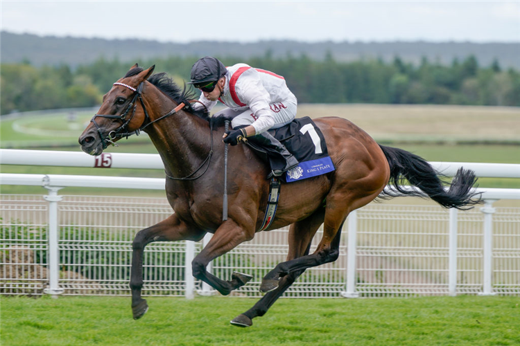 HAMISH winning the Glorious Stakes at Goodwood in Chichester, England.