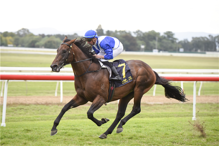 HAWAII FIVE OH winning the BLACKTOWN WORKERS CLUB GROUP HAWKESBURY GUINEAS at Hawkesbury in Australia.