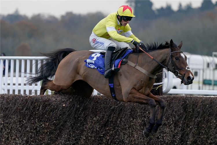 HERMES ALLEN winning the Coral John Francome Novices' Chase at Newbury in England.