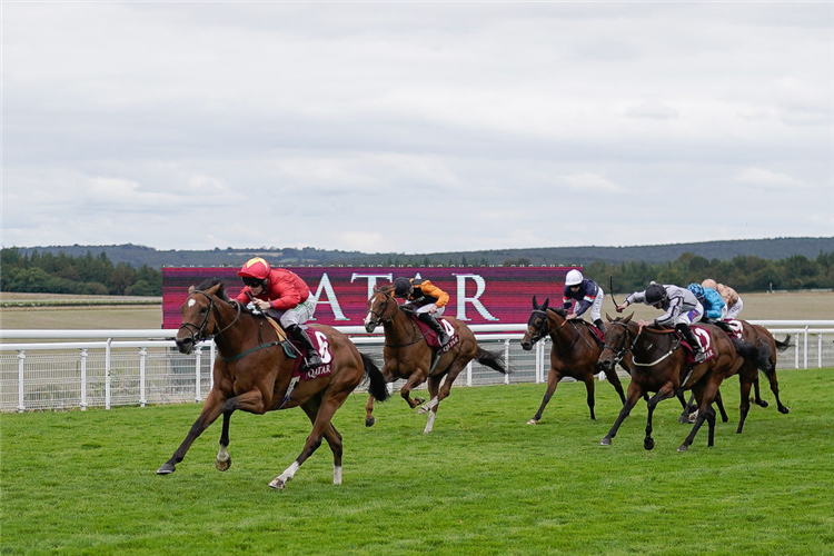 HIGHFIELD PRINCESS winning the King George Stakes at Goodwood in Chichester, England.