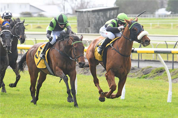 Phelan provides early quinella at New Plymouth