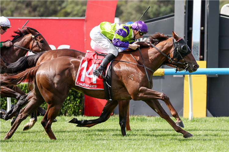 Holly Lolly Wins Bill Collins Handicap: Post Race Trainer And Jockey ...