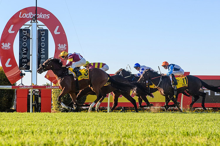 HUETOR winning the XXXX DOOMBEN CUP