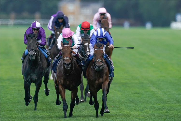 HUKUM (R, blue/white cap) winning the King George VI And Queen Elizabeth Stakes at Ascot in England.