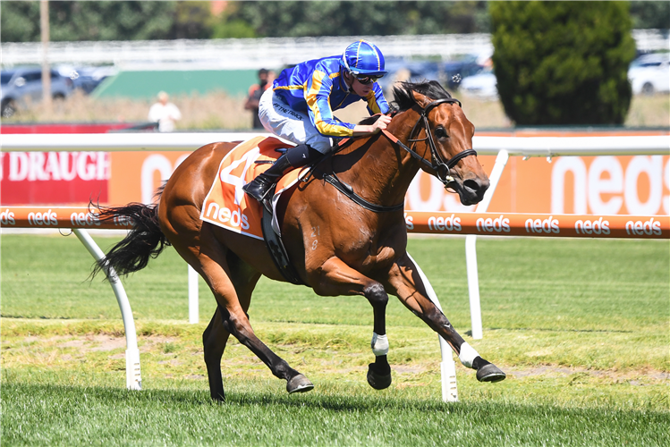 HYPOTHETICAL winning the Neds Village Stakes at Caulfield in Australia.
