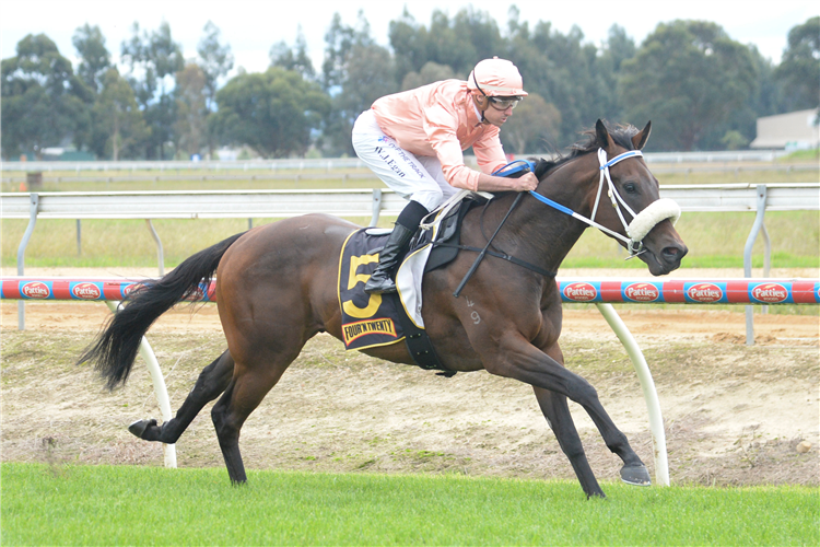 I AM CAVIAR winning the Vale Dean Holland Maiden Plate at Bairnsdale in Australia.