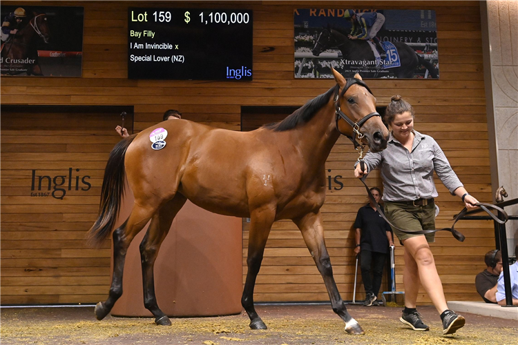 The $1.1m filly who topped this year’s Premier Sale.