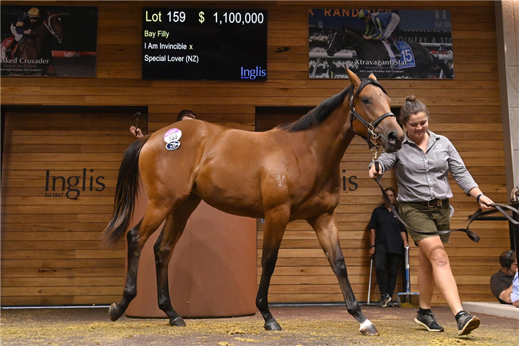 The $1.1m I Am Invincible filly who topped last year’s Premier Sale.