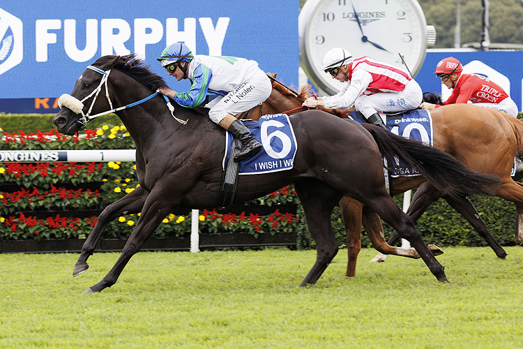 I WISH I WIN winning the FURPHY T J SMITH STAKES