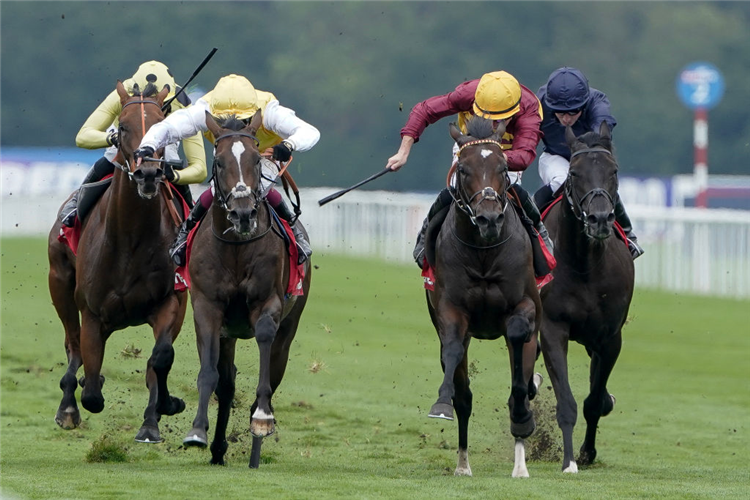 IBERIAN (maroon silks) winning the Champagne Stakes at Doncaster in England.