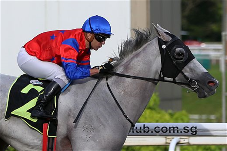 ILLUSTRIOUS winning the SUPER EASY 2012 STAKES CLASS 3
