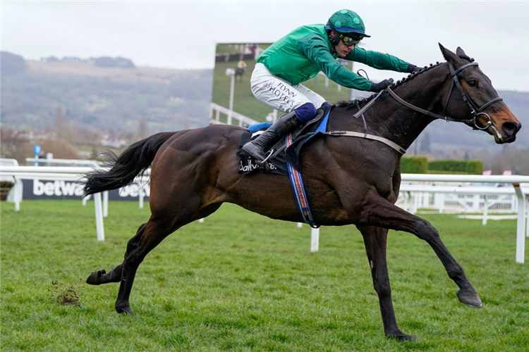IMPAIRE ET PASSE winning the Ballymore Novices' Hurdle at Cheltenham in England.