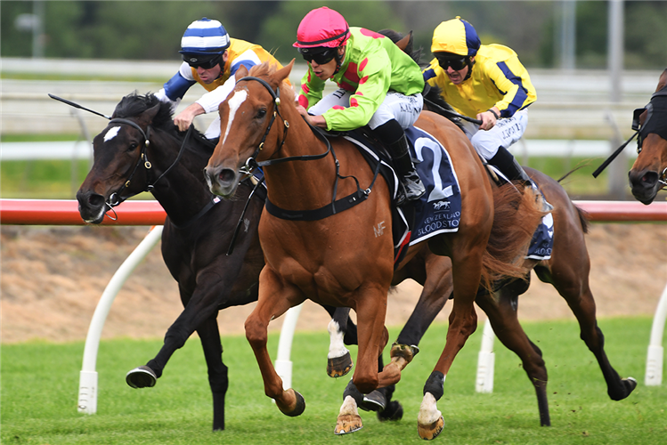 IMPENDABELLE winning the JAMIESON PARK SOLILOQUY STAKES