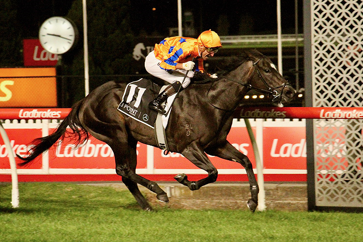 IMPERATRIZ winning the William Reid Stakes at Moonee Valley in Australia.