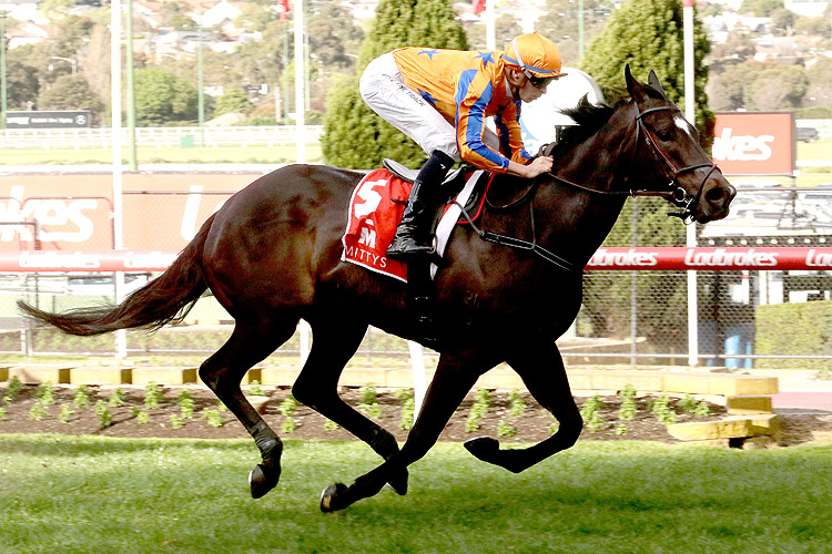 IMPERATRIZ winning the Mittys McEwen Stakes