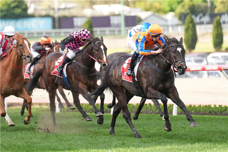 IMPERATRIZ winning the Mittys McEwen Stakes.