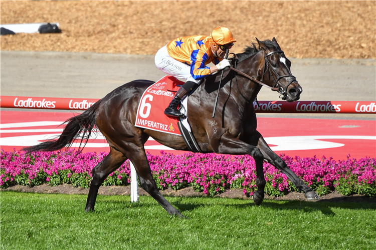 IMPERATRIZ winning the Manikato Stakes at Moonee Valley in Australia.