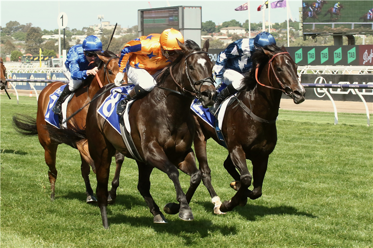 IMPERATRIZ winning the Darley Champions Sprint at Flemington in Australia.