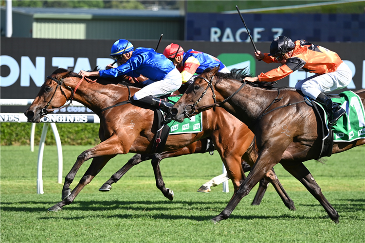 IN SECRET winning the TAB LIGHT FINGERS STAKES at Randwick in Australia.