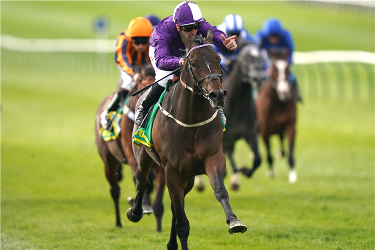 INDESTRUCTIBLE winning the bet365 Craven Stakes (Group 3).