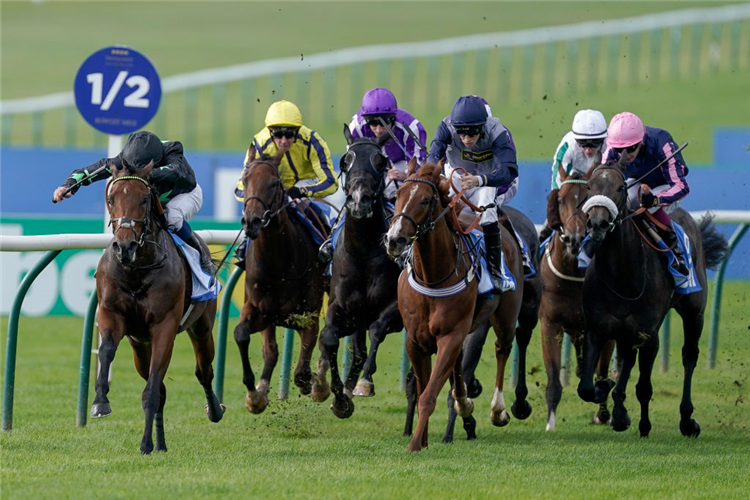 INQUISITIVELY (left) winning the Cornwallis Stakes at Newmarket in England.