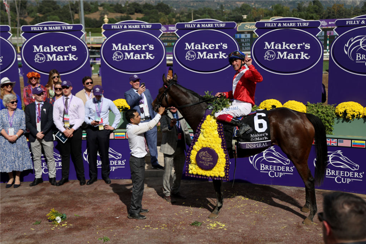 INSPIRAL after winning the Breeders' Cup Filly and Mare Turf at Santa Anita Park in Arcadia, California.