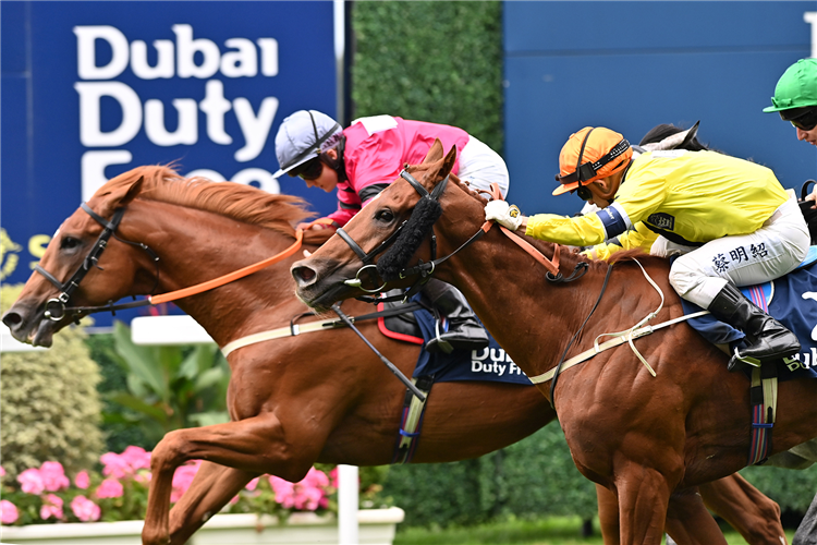 Silver Saddle and Hollie Doyle.