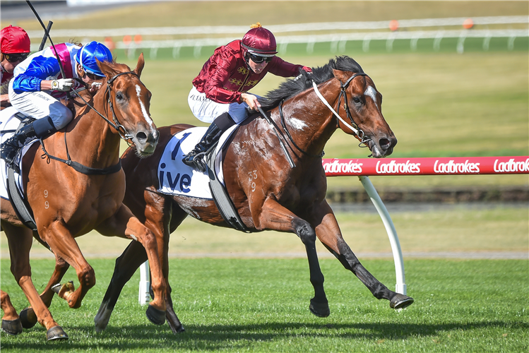 JACQUINOT winning the Ive Manfred Stakes at Ladbrokes Park Hillside in Springvale, Australia.