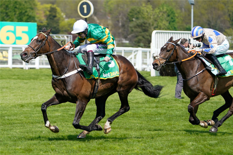 JONBON winning the Celebration Chase at Sandown in Esher, England.