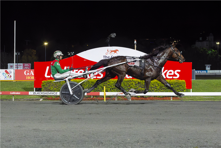 JUST BELIEVE winning heat seven of the 2023 Inter Dominion Trotters Championship at Albion Park