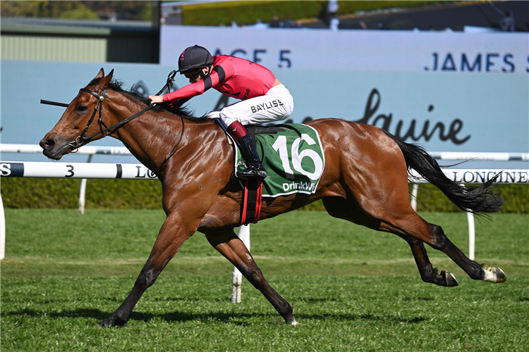 JUST FINE winning the JAMES SQUIRE KINGSTON TOWN STAKES at Randwick in Australia.