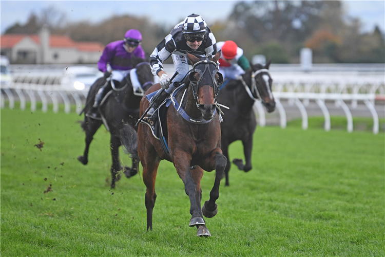 Major decisions looming on future of stablemates 