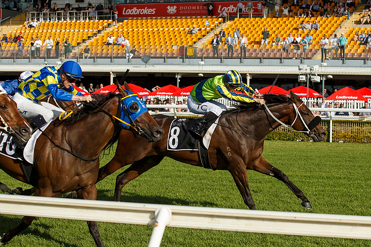 KALAPOUR winning the JRA CHAIRMAN'S HANDICAP