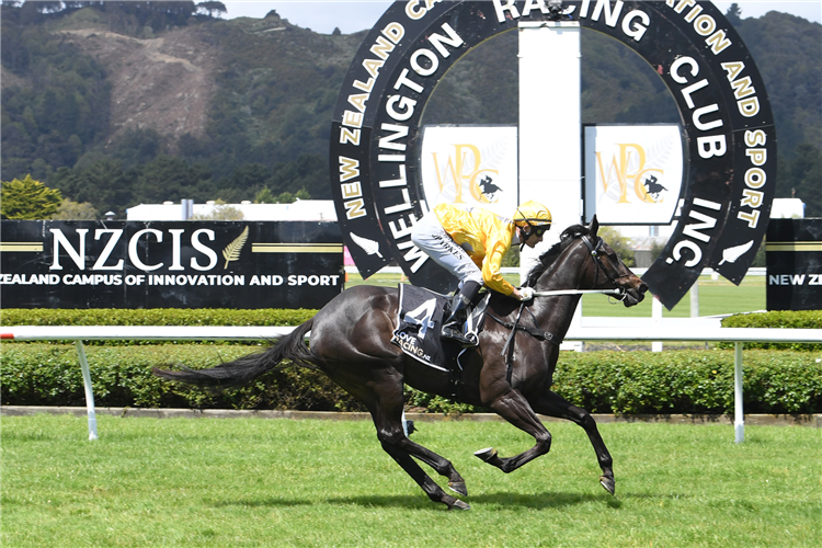 Didham happy to explore options with impressive Trentham winner 