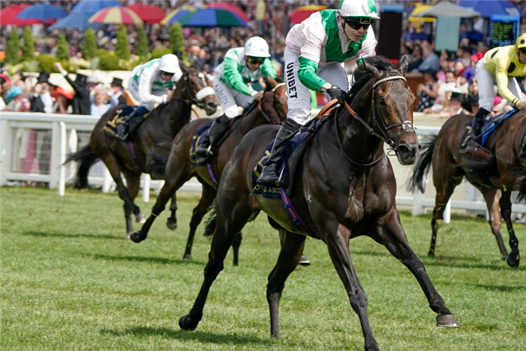 KHAADEM winning the Queen Elizabeth II Jubilee Stakes at Ascot in England.