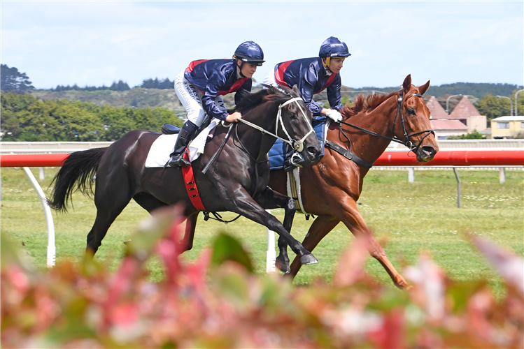 Love is all around in Wanganui