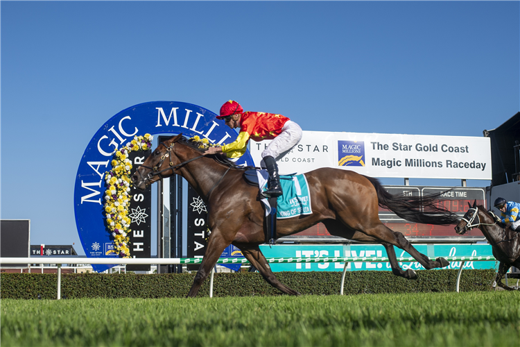 KING OF SPARTA winning the $1M IT'S LIVE! IN QUEENSLAND MAGIC MILLIONS SNIPPETS at Gold Coast in Australia.