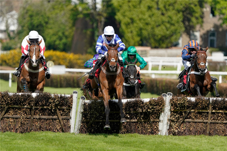 KNAPPERS HILL (C, white cap) winning the Select Hurdle at Sandown in Esher, England.