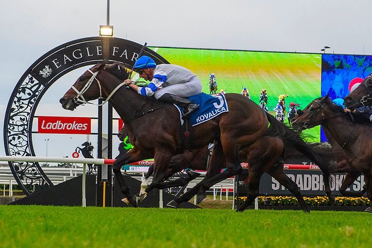 KOVALICA winning the SKY RACING QUEENSLAND GUINEAS