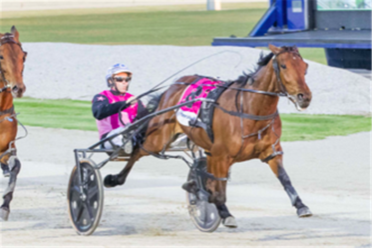 LADIES IN RED winning the Angelique Club Pace