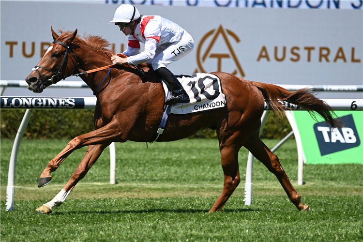 LAND LEGEND winning the MO?T & CHANDON ST LEGER STAKES at Randwick in Australia.